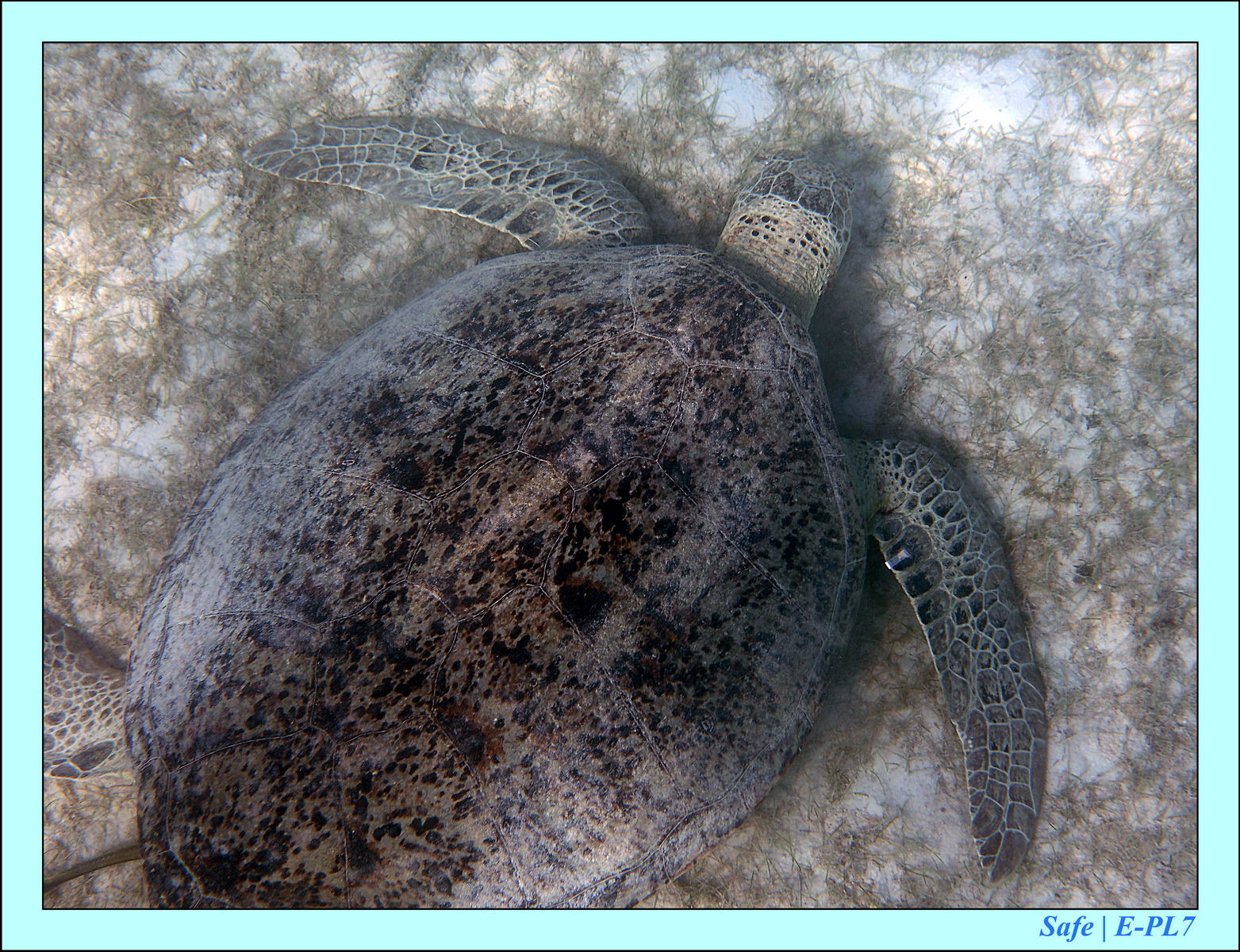 2016 - 07 - Leng Tengah - 078